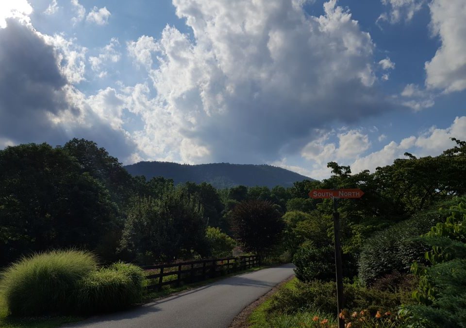 Camp Dogwood Scenic Photo